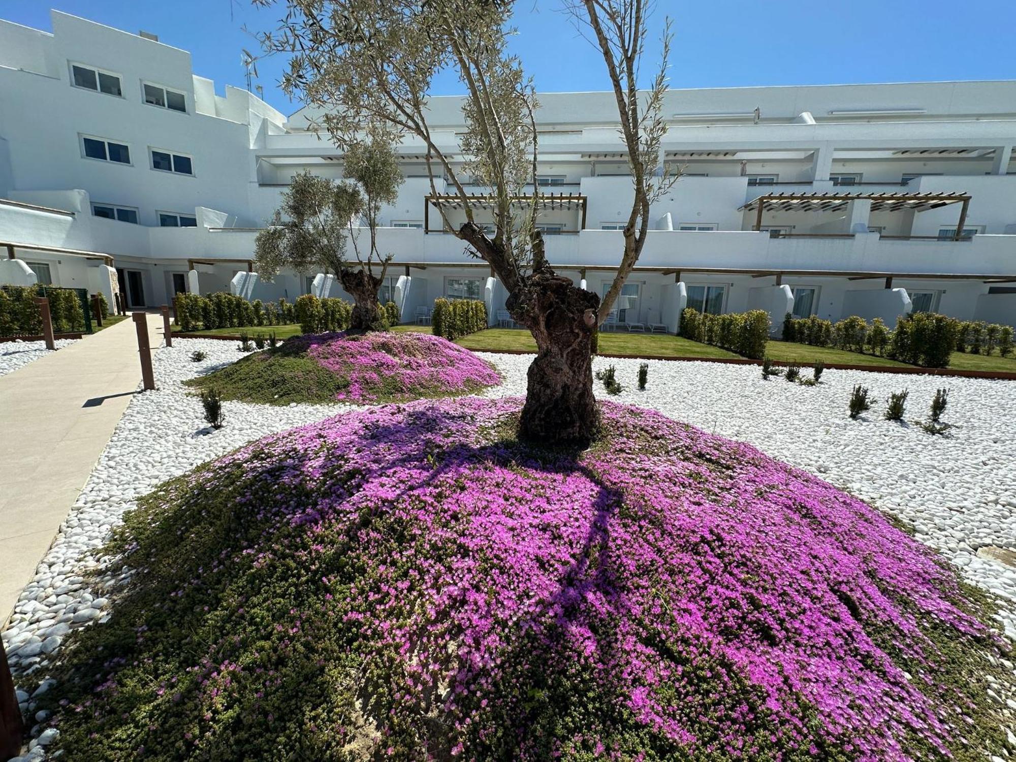 Punta Candor Suites Rota Exteriér fotografie